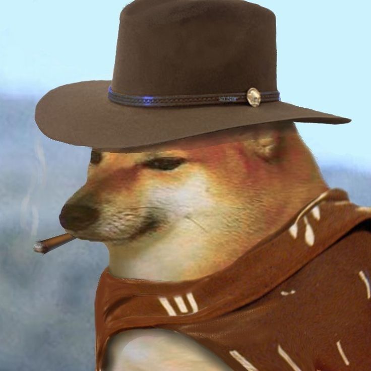 Pedro J